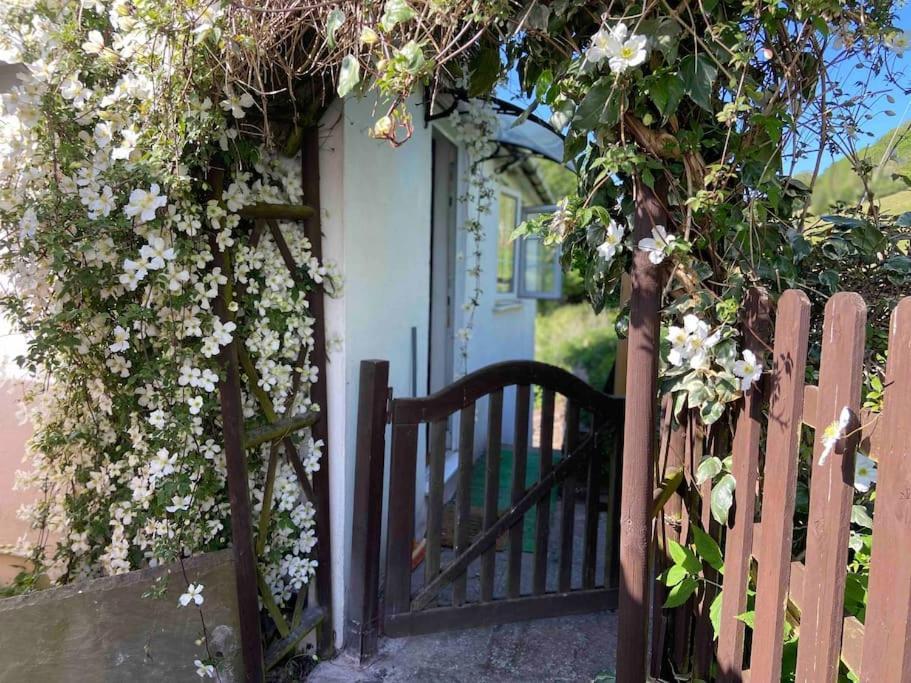 크릭호웰 Couples Getaway, With Mountain Views/Dog Friendly 빌라 외부 사진